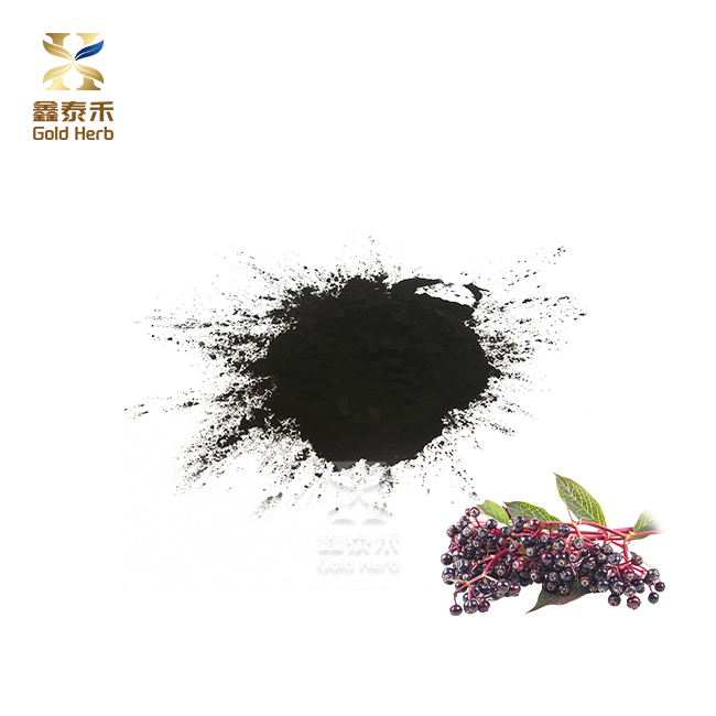 Elderberry extract powder